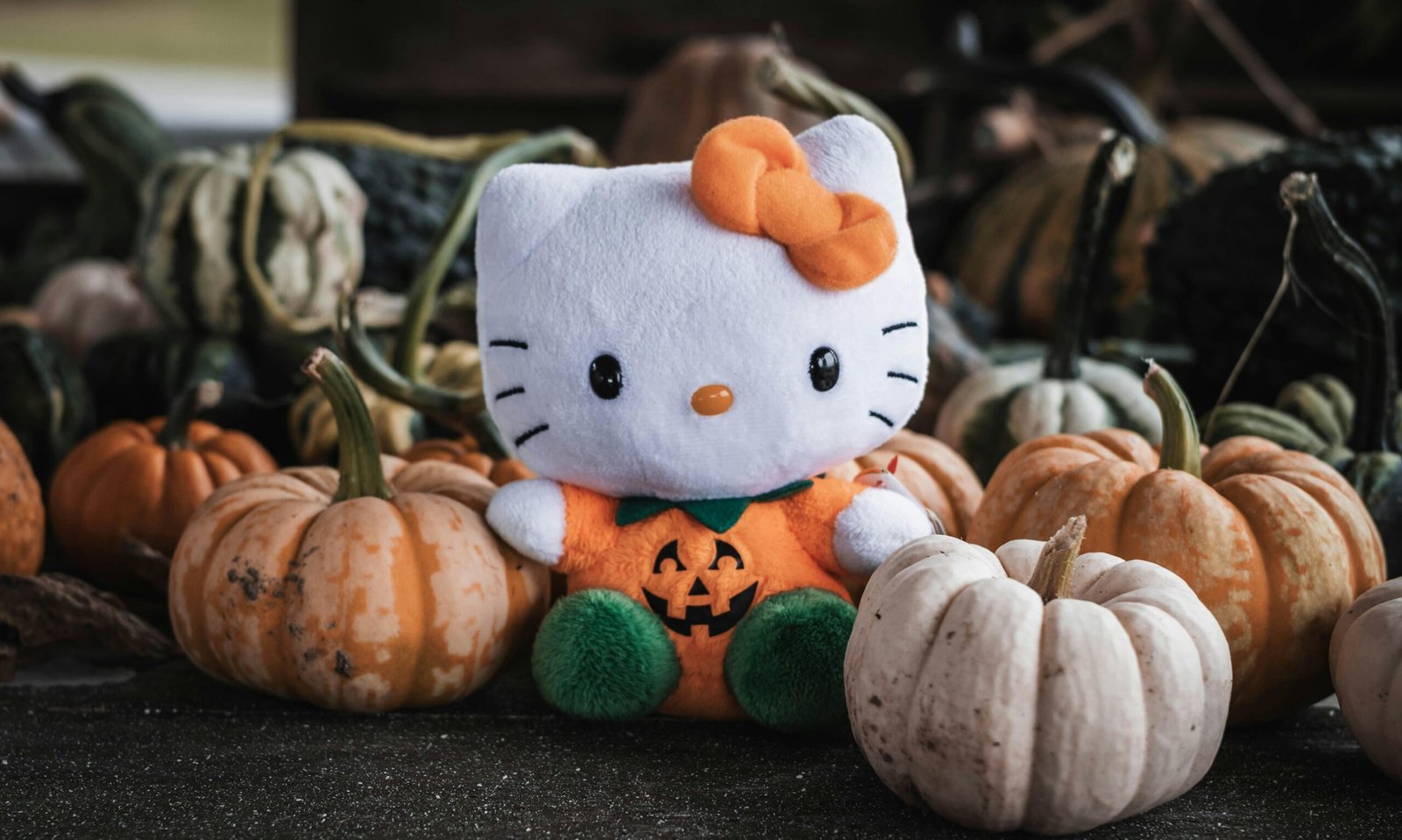 A plush toy with a pumpkin design surrounded by small pumpkins, ideal for Halloween decor.